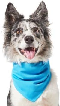 Frisco Summer Cooling Pullover Dog Gaitor