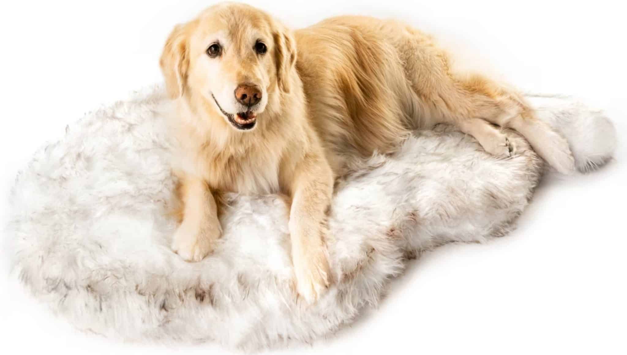 PupRug Faux Fur Curve Orthopedic Pillow Dog Bed