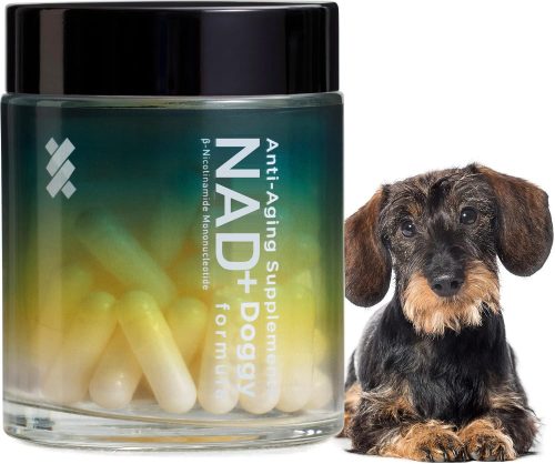 Timeplus+ Doggy Formula Longevity Supplement for Dogs
