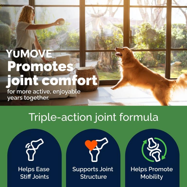 YuMOVE Hip and Joint Health benefits overview for dogs