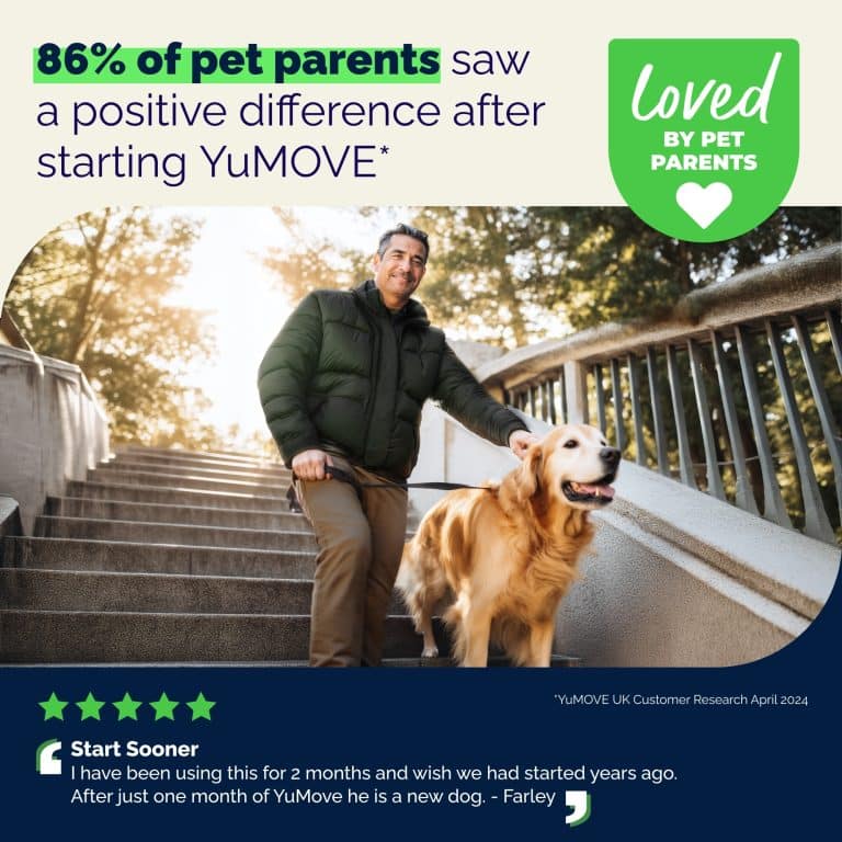 YuMOVE Hip and Joint Health feeding guide for dogs