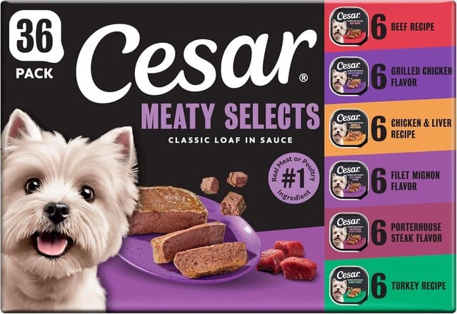Cesar Wet Dog Food Classic Loaf in Sauce Variety Pack