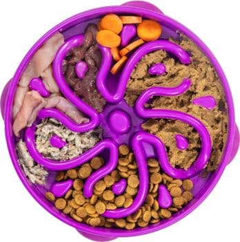 Outward Hound Fun Feeder Interactive Dog Bowl