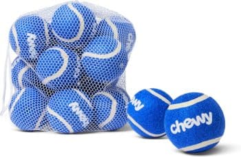 Chewy Made Fetch Squeaky Blue Tennis Ball Dog Toy,