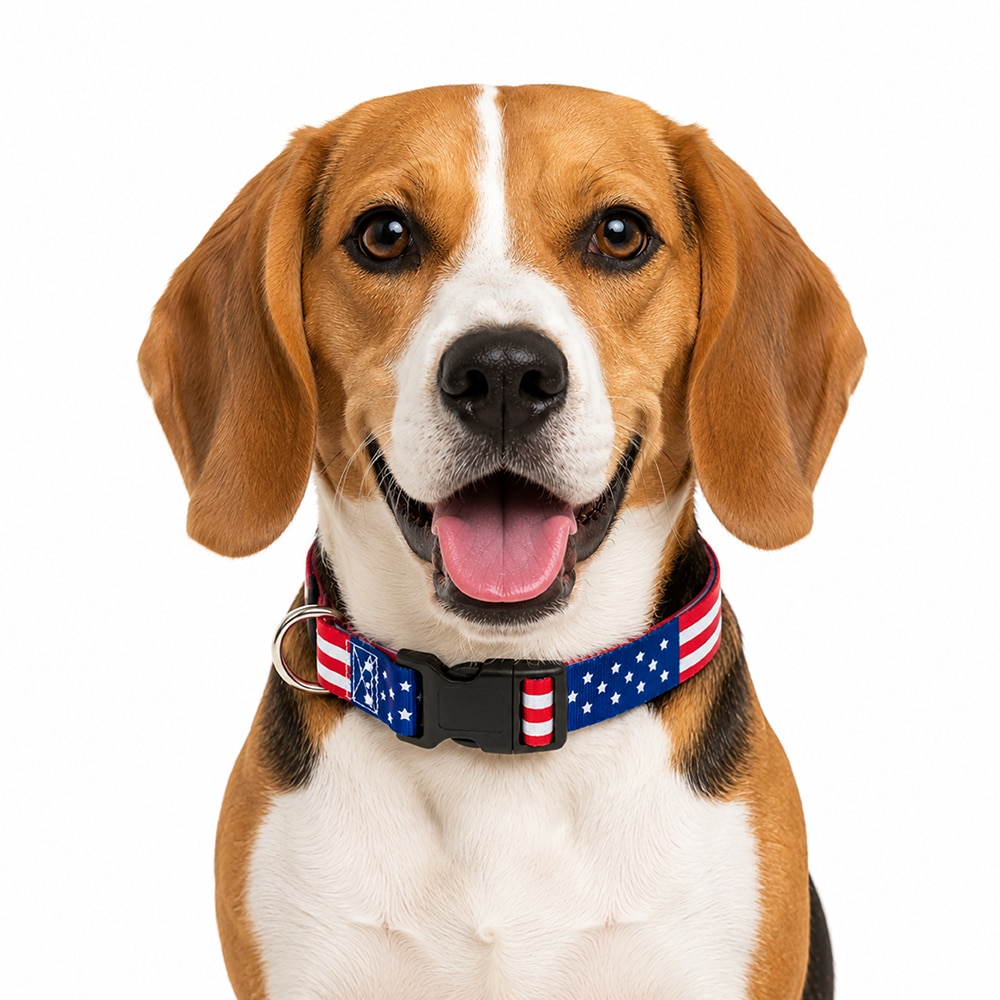 USA American Flag Dog Collar S-XL : Perfect for Patriot Pups, July 4th & 250 Years Anniversary Celebration - Image 12
