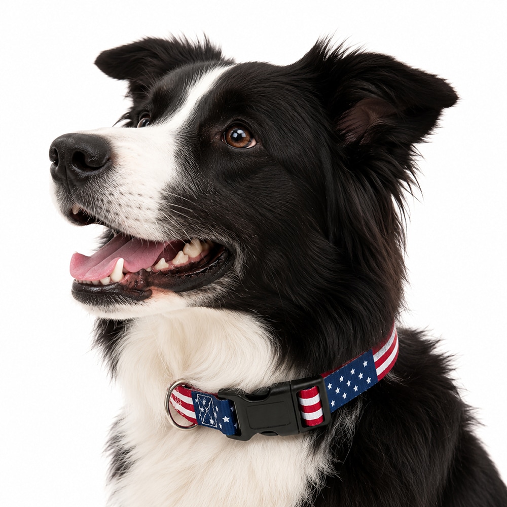 USA American Flag Dog Collar S-XL : Perfect for Patriot Pups, July 4th & 250 Years Anniversary Celebration - Image 6