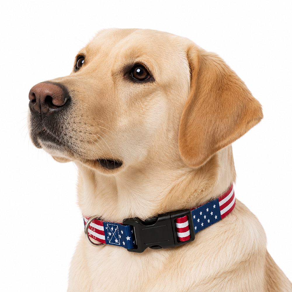 USA American Flag Dog Collar S-XL : Perfect for Patriot Pups, July 4th & 250 Years Anniversary Celebration - Image 13