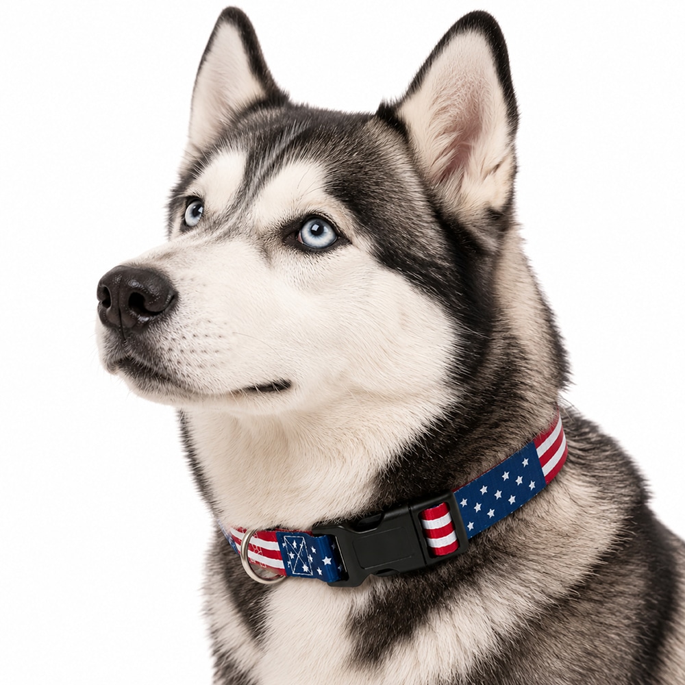 USA American Flag Dog Collar S-XL : Perfect for Patriot Pups, July 4th & 250 Years Anniversary Celebration - Image 11