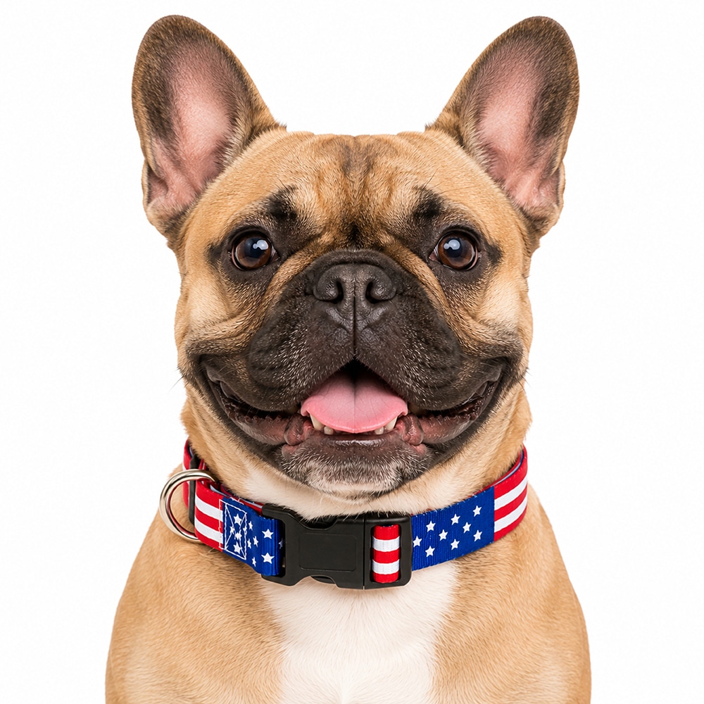 USA American Flag Dog Collar S-XL : Perfect for Patriot Pups, July 4th & 250 Years Anniversary Celebration - Image 7