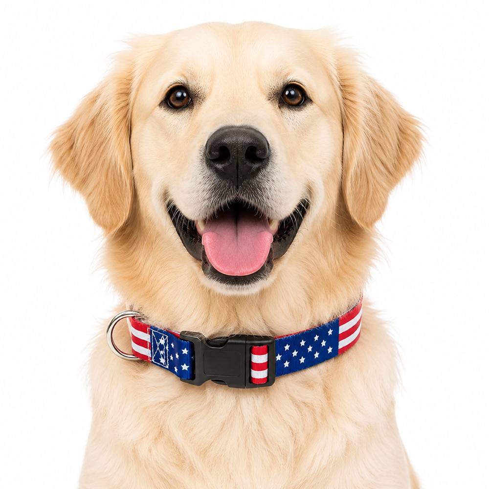 USA American Flag Dog Collar S-XL : Perfect for Patriot Pups, July 4th & 250 Years Anniversary Celebration - Image 2