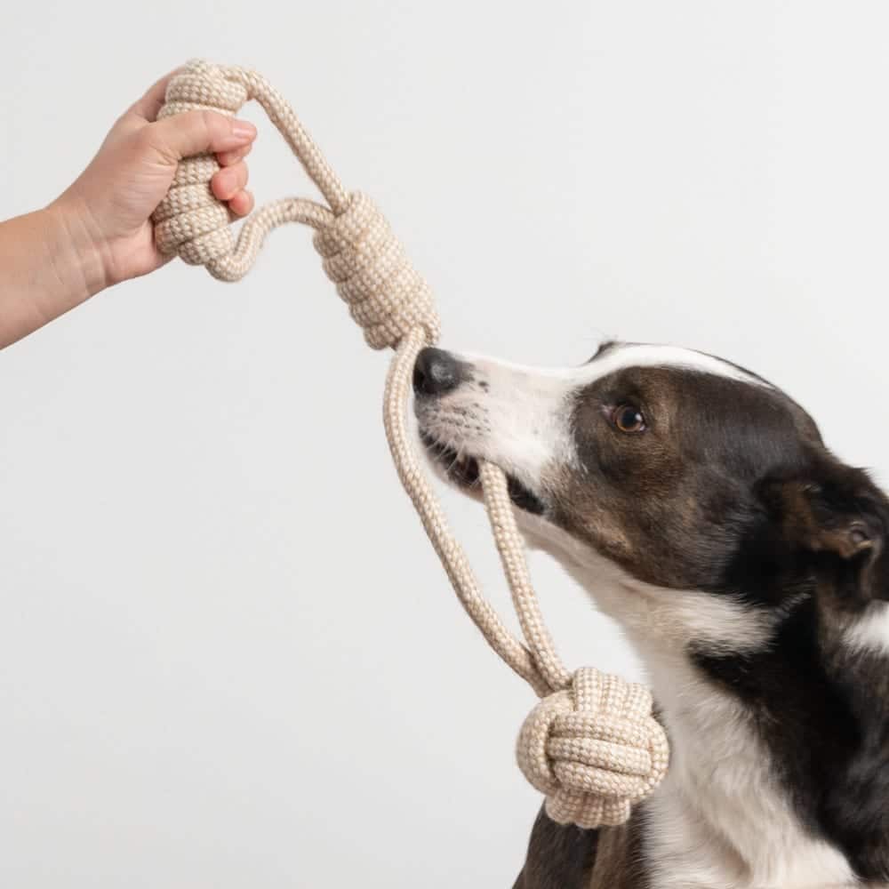 Fund 7 Meals for $7 and Get a Get the Ball ! Tug’n Play Rope Toy and Rope Toy with Tennis Balls - Image 7
