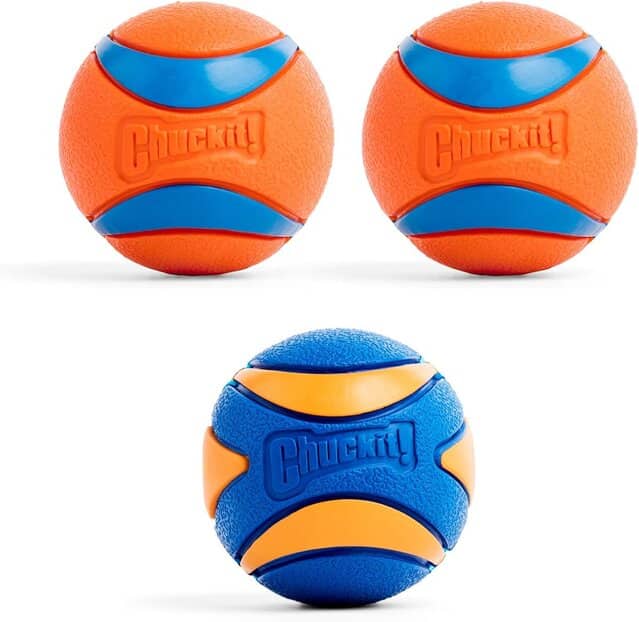 Chuckit Ultra and Squeaker Ball Dog Toys