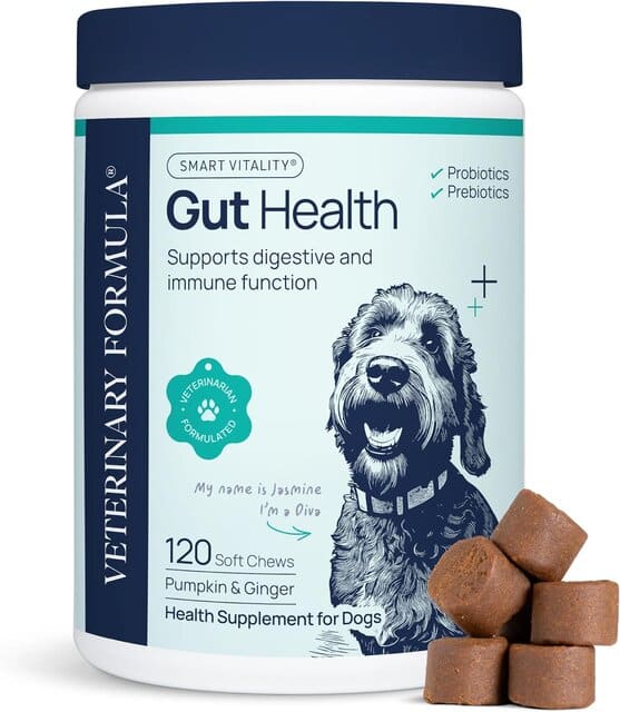 Veterinary Formula Gut Health Supplement for Dogs