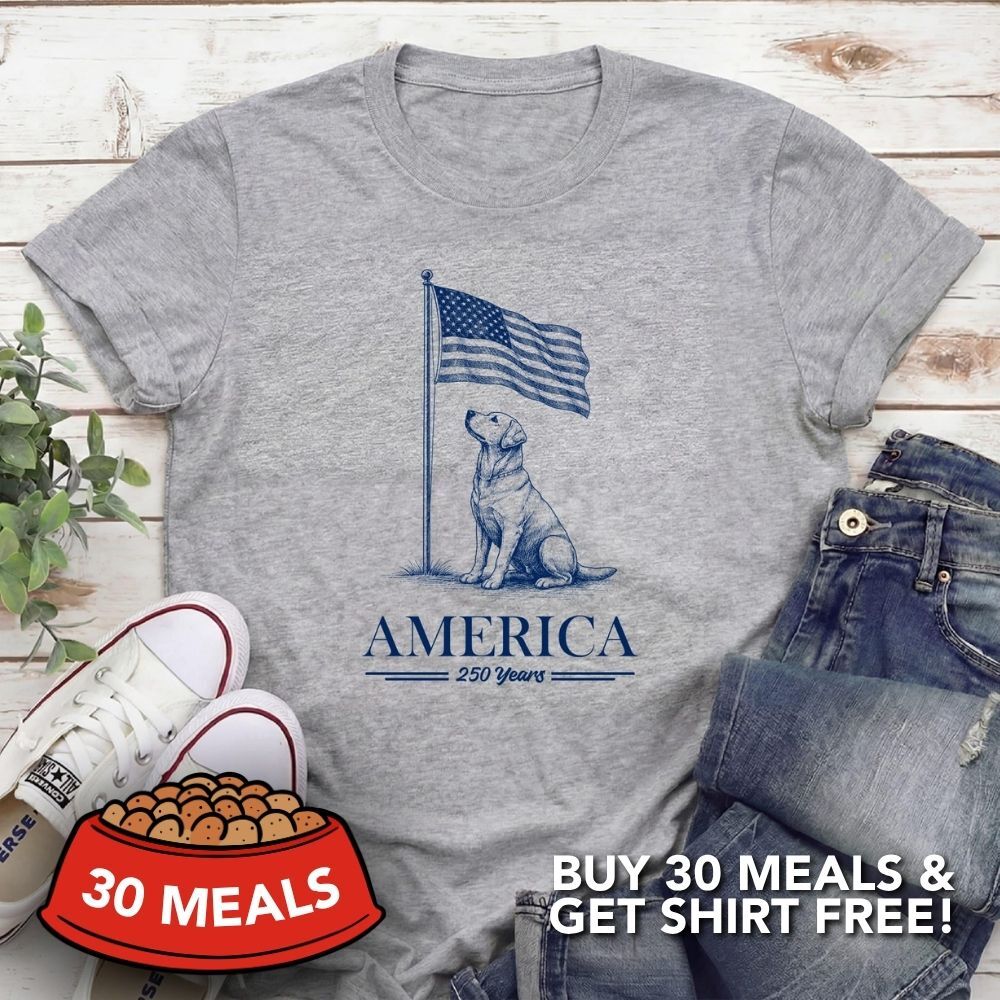 Fund 30 Meals for $16.00 and Get A Free - America 250 Years Standard Tee Heather Grey