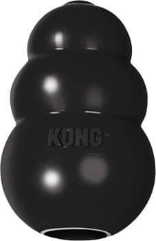 KONG Extreme Dog Toy - Fetch & Chew Toy