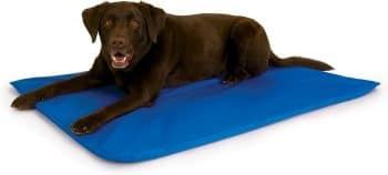 K&H Pet Products Cool Bed III Dog Cooling Mat