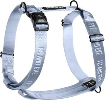2026 New Edition, Fei & Eve Moxie H-Shape Dog Harness