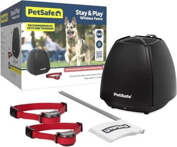 PetSafe Stay & Play Wireless 2-Dog Fence