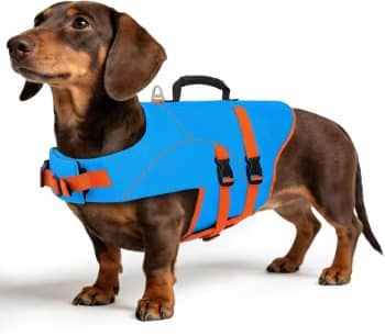 ASENKU Dog Life Jacket for Swimming & Boating