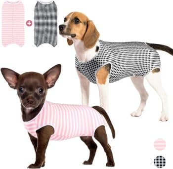 Due Felice Dog Surgery Suit Female Spay
