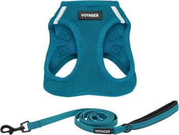 Best Pet Supplies Voyager Step-in Air All Weather Mesh Harness