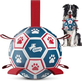 QDAN Dog Balls, World Cup Soccer Ball with Straps