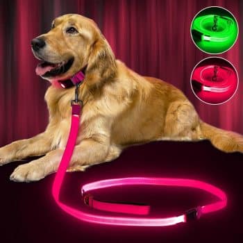 LED Dog Leash Light Up 6 Feet Micro USB Rechargeable Nylon