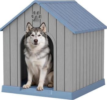 Large Dog House Outdoor Indoor
