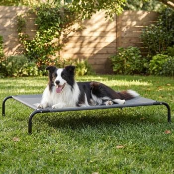 Love's cabin Elevated Cooling Dog Bed