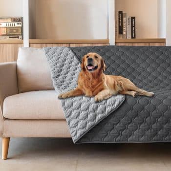 gogobunny Waterproof Pet Blanket for Bed