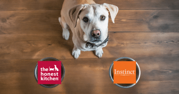 PetWireDaily — The Honest Kitchen vs. Instinct: Who Wins? [2026]