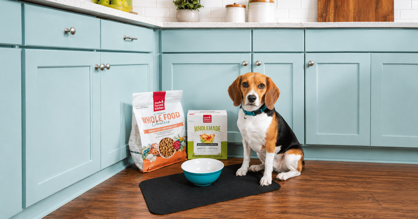 What Is Human Grade Dog Food And Why Does It Actually Matter For Your Dog?