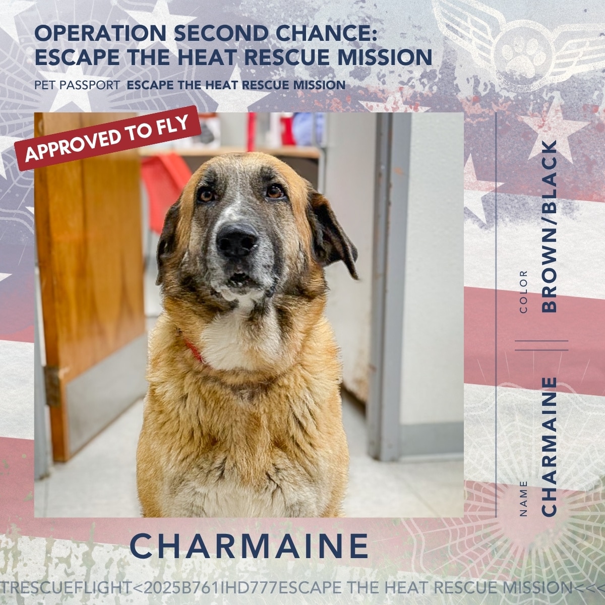 June 2026 Rescue Flight Pet Passports - Charmaine