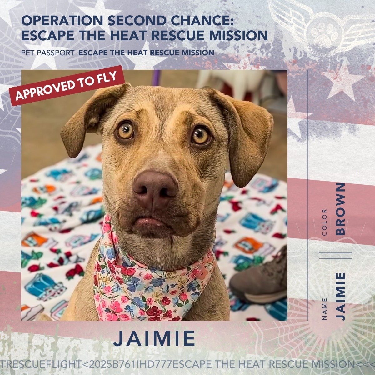 June 2026 Rescue Flight Pet Passports - Jaimie