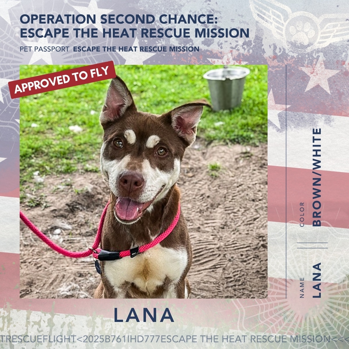 June 2026 Rescue Flight Pet Passports - Lana