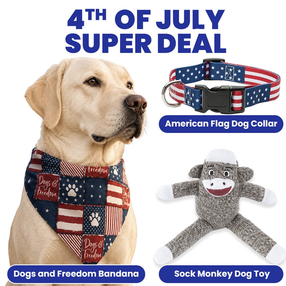 4th of July Super Deal! USA American Flag Dog Collar, Dogs & Freedom Bandana and Sock Monkey