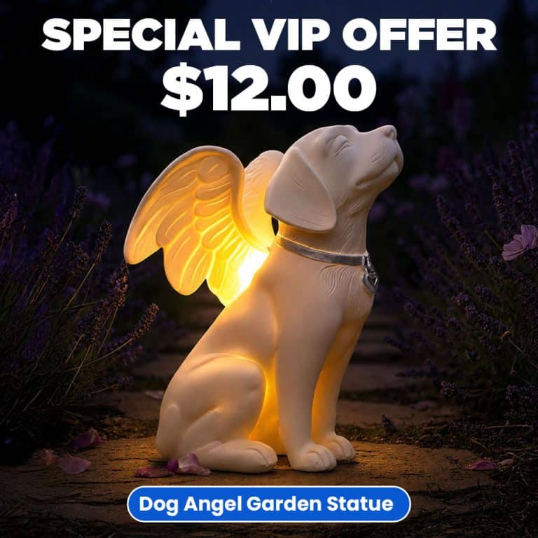 VIP ONLY DEAL! Dog Angel Solar Memorial Statue – A Glowing Tribute to Your Beloved Dog, Complete with Gift Box