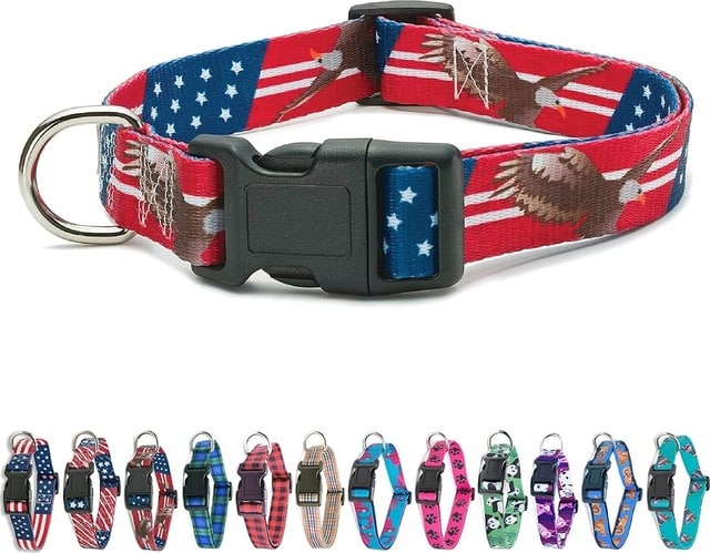 American Flag Dog Collar with bald eagle design