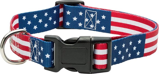 American Flag Dog Collar Classic with patriotic red white and blue stars and stripes