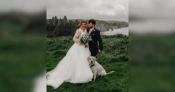 PetWireDaily — Rescue Dog Marks Gotcha Day by Standing Beside His Parents at Their Wedding