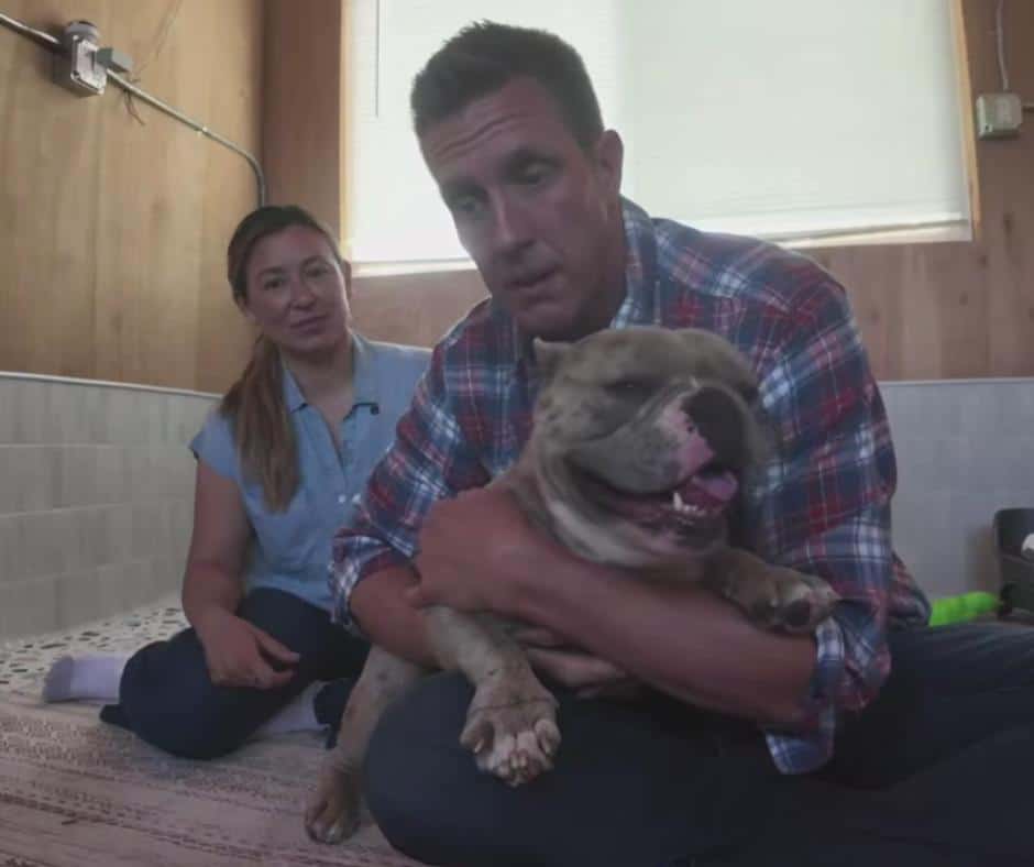 Bolt the dog continuing his recovery