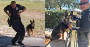 PetWireDaily — Florida K-9 and Her Handler Have the Most Impressive Dance Moves