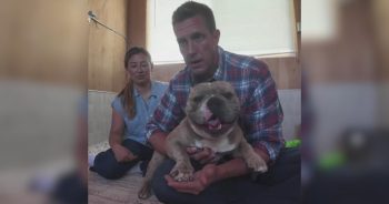 PetWireDaily — Rescuers Found a Dog With a Broken Paw, Broken Hip, and a Heart Full of Hope