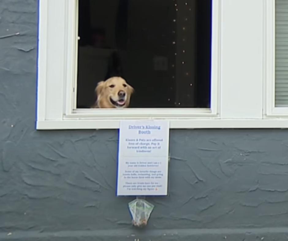 Driver greeting visitors
