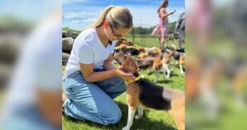 PetWireDaily — Final 475 Beagles Rescued as Controversial Research Facility Closes for Good