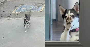 Missy at daycare