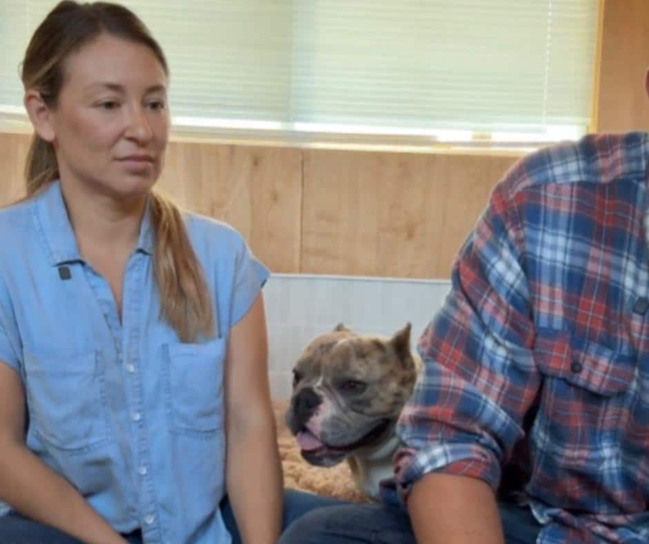 Bolt the dog recovering from injuries