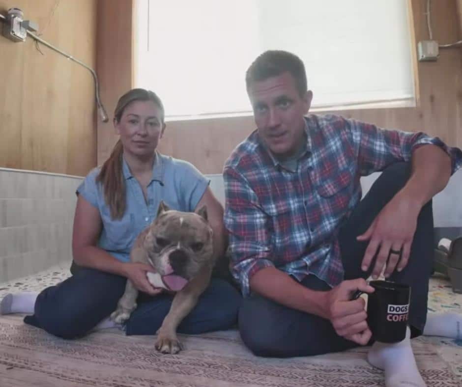 Bolt the dog showing his resilient spirit