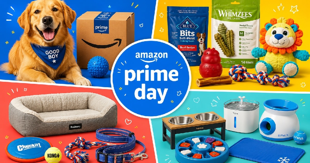 Why Wait? These Early Amazon Prime Days Dog Deals Are Already Live