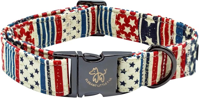 Elegant Little Tail Independence Day dog collar with stars and stripes